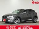 carPhoto