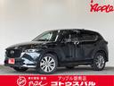 carPhoto