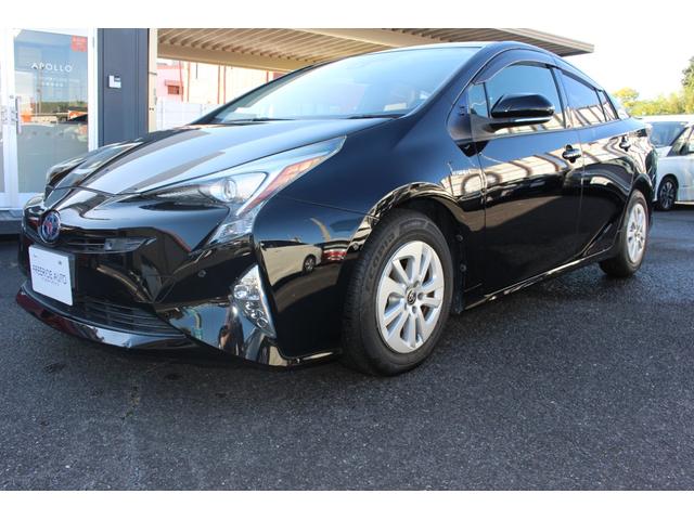 ץꥦ ӥեƥץ饹󥪥ʡͲ򥷥ƥࡡåʡ 0204841A30251104W001 1