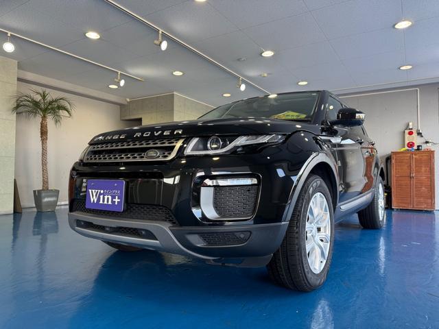 ָңͷڸ֥졼æ 롼ȥ롡ѥХåɥҥǥȥȥ 1