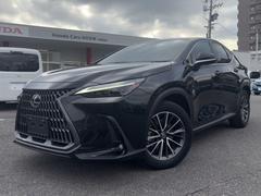 NX NX250 バージョンL 車検2年付き、純正ナビ(フルセグ・スマホ連携)、パノラマビューカメラ、ETC2.0、純正アルミ、パワーシート、シートヒーター&クーラー、LEDヘッドライト、ハンドルヒーター、レザーシート 中古車画像