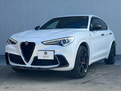 եᥪƥɥեꥪå֣ĥ󥿡ܥ󥸥󡡣ף