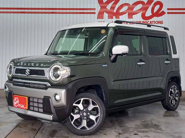  ϥ顼 ʥ륿ܡͷڸ֥졼ɥ쥳̥˥