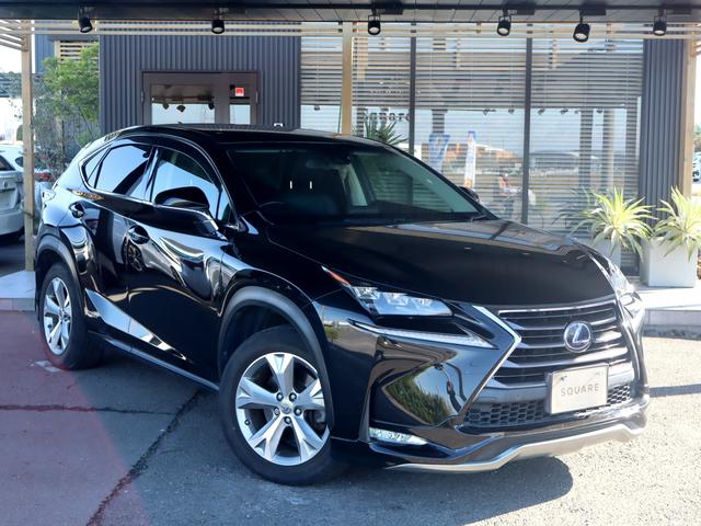 쳤϶顿쥯żŹ ϶ȣǯμӡץǴְ㤤ʤ֤󶡤ޤ 1