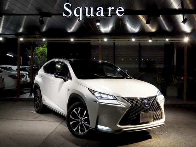 쥯 Σ Σأ衡ƥݡġѥΥޥ롼աإåɥ饤