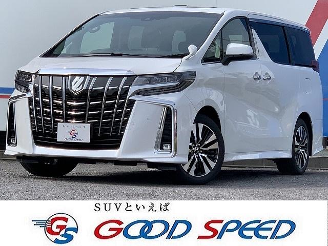 SC PKG 新車未登録SR Dミラー ITS Dオーディオ(1枚目)
