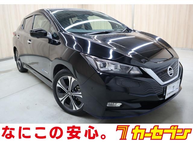 日産 リーフ ｅ＋　Ｇ　法定点検整備済／寒冷地仕様／後席シートヒーター／リアヒーターダクト／プロパイロットパーキング／インテリジェントアラウンドビューモニター／インテリジェントルームミラー／グレー革シート／ＢＯＳＥサウンド