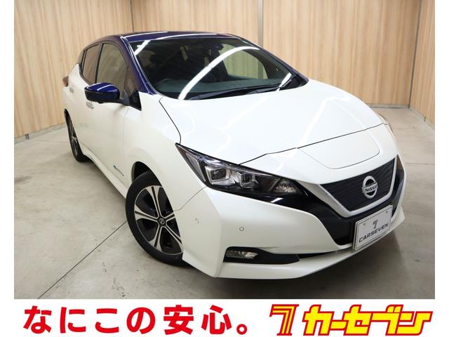 リーフ(日産) Ｇ　ＯＢＤ診断済／法定点検整備済／ツートンルーフ／寒冷地仕様／シートヒーター／インテリジェントアラウ 中古車画像