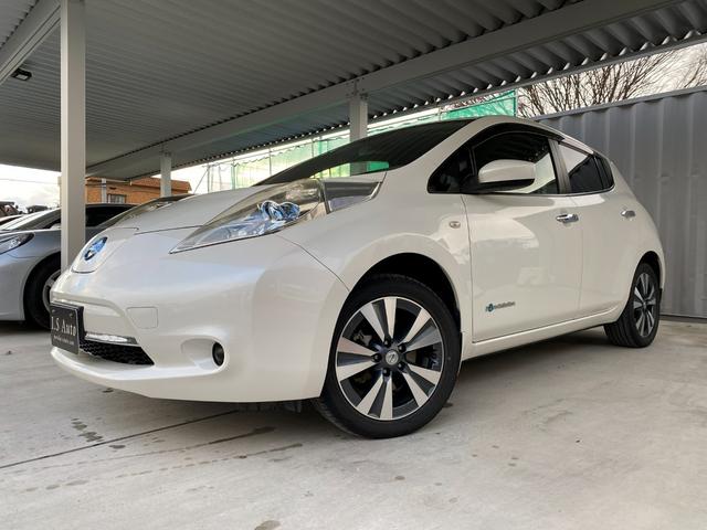 NISSAN LEAF X THANKS EDITION(30KWH)