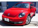 VOLKSWAGEN THE BEETLE