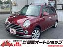 carPhoto
