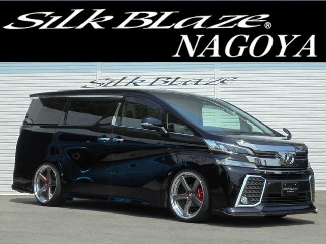 2.5Z Aエディションシルクブレイズコンプリート(1枚目)