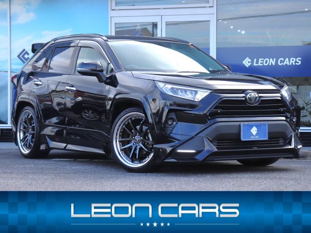ＲＡＶ４ Ｇ　社外２１ＡＷオーバーフェンダーＴＲＤフルエアロＢＬＩＴＺ車高調　社外９型ナビＢカメラ地デジＢＴ音楽ＬＥＤヘッドＦフォグＤバイザＥＴＣガナドールマフラー　パワーバックドア　スマートキー（1枚目）