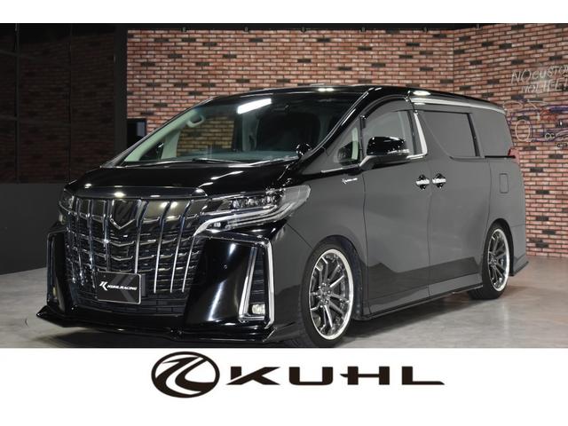 ȥ西 ե ӡåѥåˣգȣ̡졼