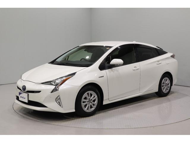 ȥ西 ץꥦ ӥեƥץ饹ӣĥʥӡե륻ԣ֡ã