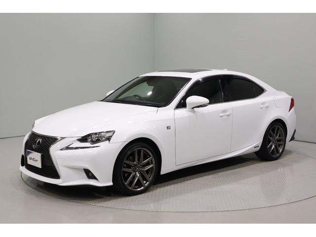 쥯 ɣ ɣӣ衡ƥݡġӣĥʥӡե륻ԣ