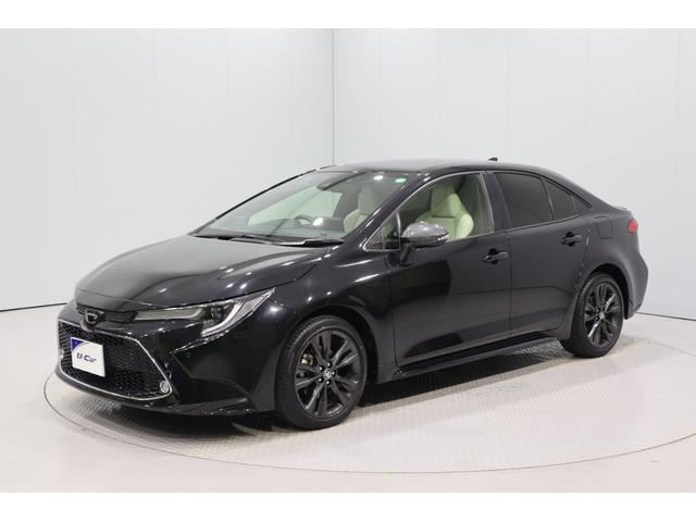 ȥ西  ֥Хӡǥץ쥤ǥʥʥա˥ե륻ԣ֡ãġģ֣