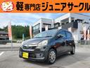 carPhoto