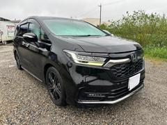 ۥǥåϥ֥åɡ塧ȣţ֥֥롼ȡţءۥ󥷥󥰡£ӣ