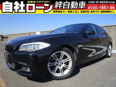 ＢＭＷ　５シリーズ　５２３ｉ　Ｍスポーツパッケージ　純正ＨＤＤナビ