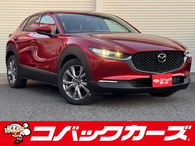 ޥĥ ãءݣ أġ̥ѥå