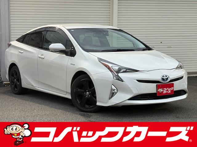 ȥ西 ץꥦ ӥġ󥰥쥯󡡹סر졡ʥӣԣ