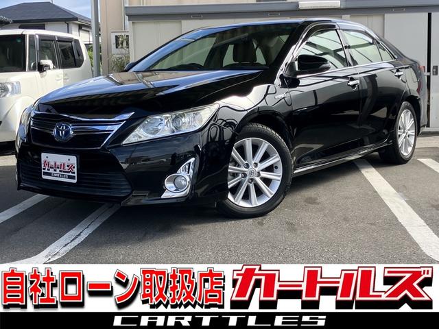 ܥҤȤĤǥ󥸥󥹥ȡץå她ա ѥƥ󥰡ѥɥžʥХåʥХå 1