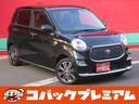 carPhoto