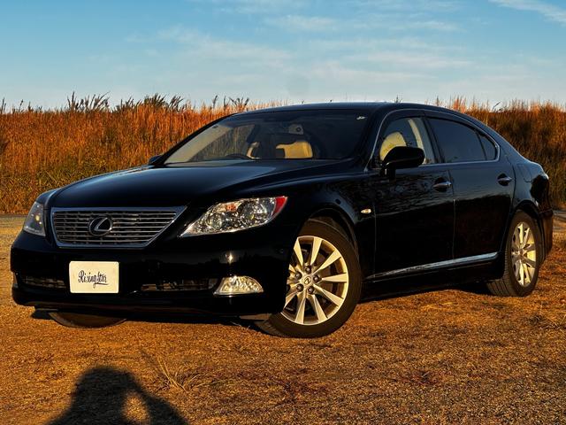 ܥǥƥ󥰺ѤߡãУ ٣ʤɲڥץİǽ롼աޡӥ󥽥 1