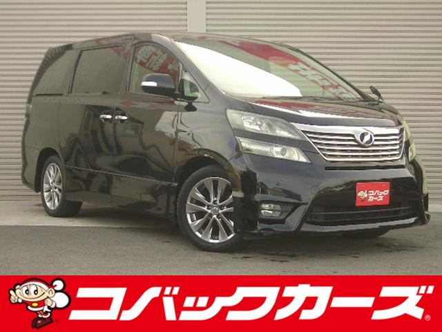 ָǤʤߥХå롼פŹǤ μָ䥢եƥʥ󥹤⤪Ǥ 1