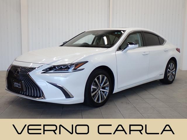 쥯 ţ ţӣ衡쥯եƥӡ㳲ʪ󥵡̥