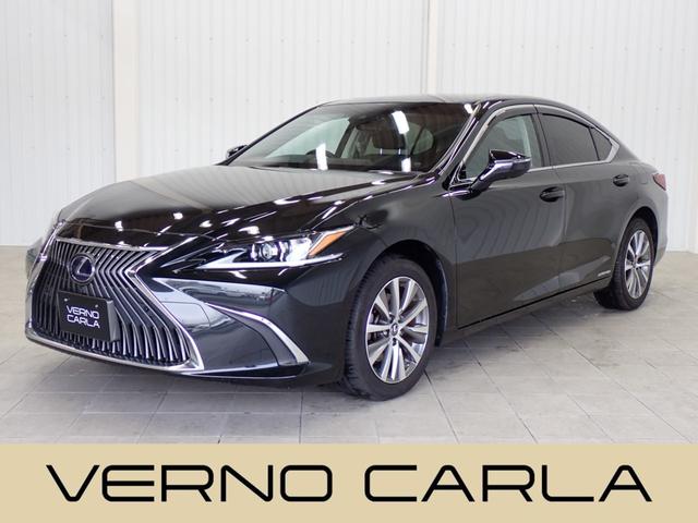 쥯 ţ ţӣ衡롼ա쥯եƥӡ㳲ʪ󥵡