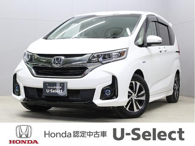 ۥ ե꡼ɡܥϥ֥å ϥ֥åɣţءʥӡξ¦ѥ凉顡ɥ쥳