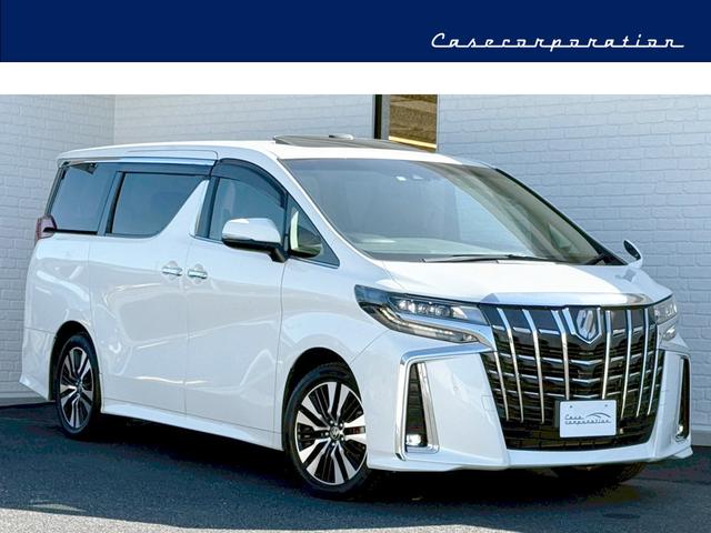 ΦǼֲǽ»ݥѥŹ ĥࡼ롼աǥ륤ʡߥ顼֥饤ɥݥåȥ˥ 1