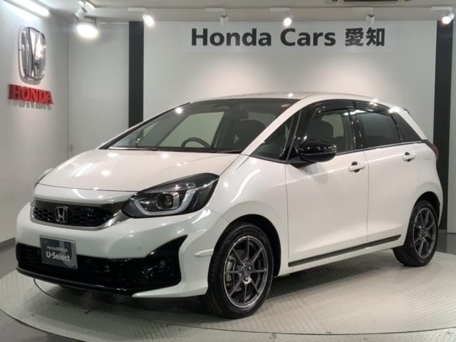 ǯݾڤ⳰Υݥ˥󥰤ŰŪ˹Ԥ ɬפʾʸ򴹤ˡ꣱ϼָˤǼ֡Ǽֲǽ 1