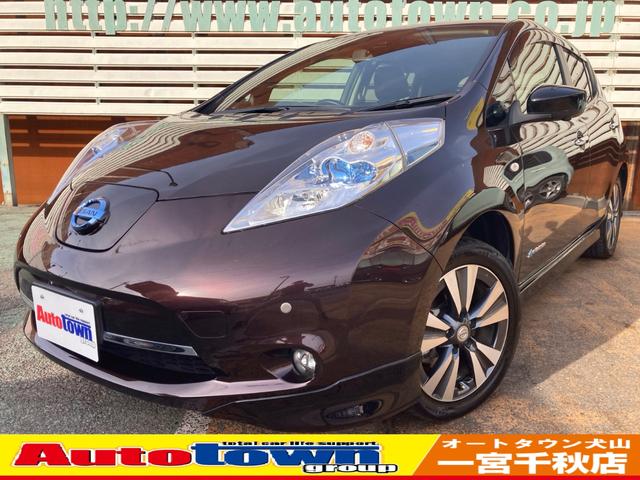 日産 リーフ Ｇ　サンクスエディション（３０ｋｗｈ）　１０セグ／純正ナビ（フルセグ／ＣＤ／ＤＶＤ／ＳＤ／Ｂｌｕｅｔｏｏｔｈ／ＡＵＸ）／アラウンドビュー／ＢＯＳＥスピーカ／レザーシート（全席シートヒーター付き）／ステアリングヒータ／クルコン／コーナーセンサ