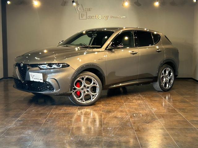 եᥪ ȥʡ ץ饰ϥ֥åɣѣʥӡ¥