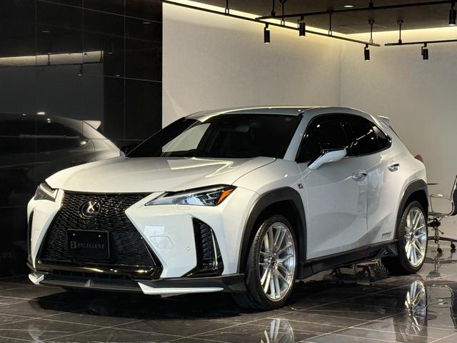 ףġԣңĥޥե顼롼եݥ顼 ԣףӣסϥ顡ڥɥ⡼ȥ 1