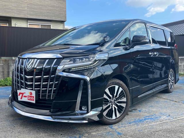 žαϿɥ饤֥쥳դ 롼աưꥢȡޡȥưǼߥ顼ȥҡ 1