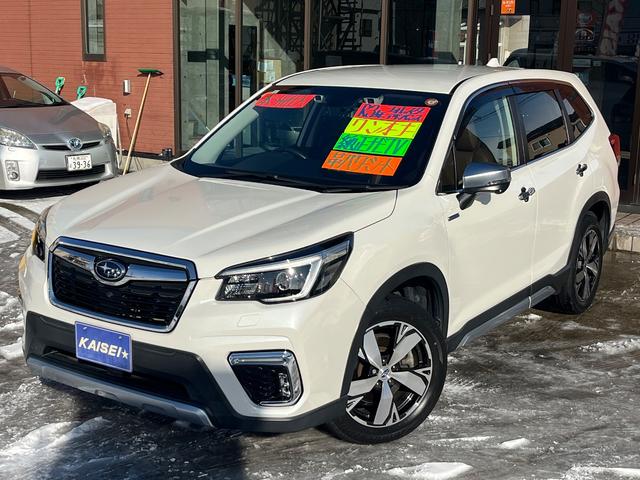 ܽ󥪡ʡʥӣԣ֡Хå ץȡģɣԣϣΣťɡѥХåɥǥ륤ʡ 1