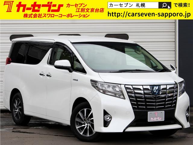 Ｇ　ＢＩＧｘ１１型ナビ　フリップダウンモニター　両側パワースライド　バックカメラ　メモリー付パワーシート　レーダークルーズ　プリクラッシュ　クリアランスソナー　パワーバックドア　ＥＴＣ