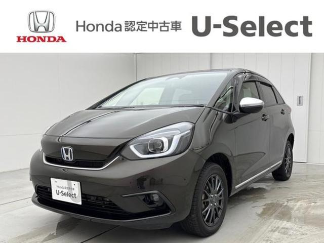 եå 塧ȣţ֥奯̣ţĥإåɥ饤ȡ롼ȥ롡ȥҡ 0300191A30251101W001 1