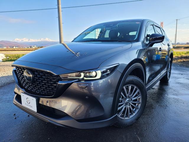 ãءݣ أġ֥åȡ󥨥ǥ󡡥󥪡ʡף 0300484A30251125W001 1