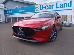 ͣڣģեȥХå أĥץƥ֡ġ󥰥쥯