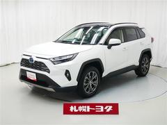 RAV4 ハイブリッドG 中古車画像