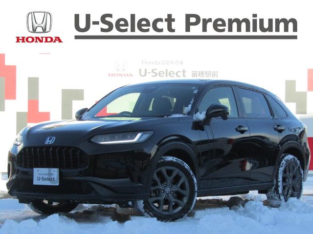 ڣҡݣ 塧ȣţ֣ءҥ󥿥åסۥ󥷥󥰡ʥ 0301126A30251206W003 1