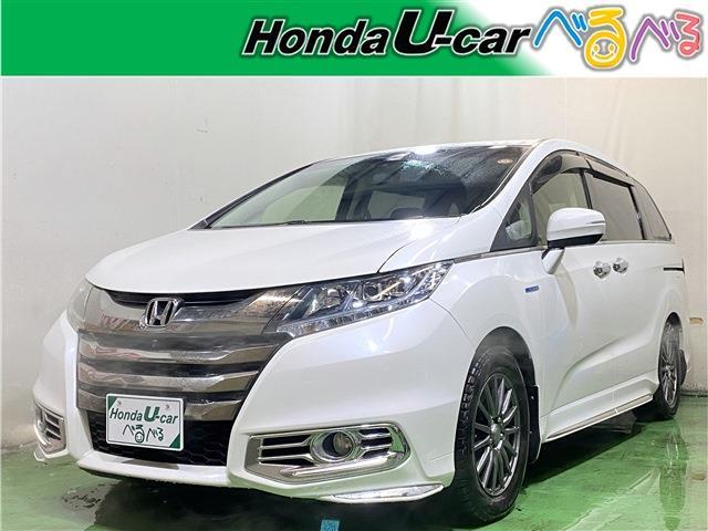 ǥåϥ֥å ϥ֥åɥ֥롼ȡۥ󥷥󥰣ţإѥåˣȣɣĥ饤ȣãĥ塼ʡ 0301692A30251211W003 1