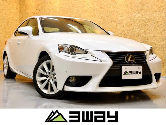 쥯 ɣ ɣӣߥ䡡Ⱦסɥ쥳