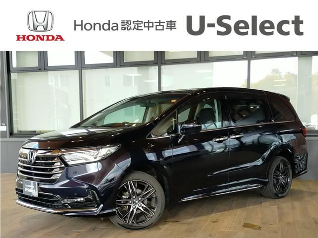 ۥ ǥå ֥롼ȡţء£ݣģ֣бե륻ʥӡޥӥ塼