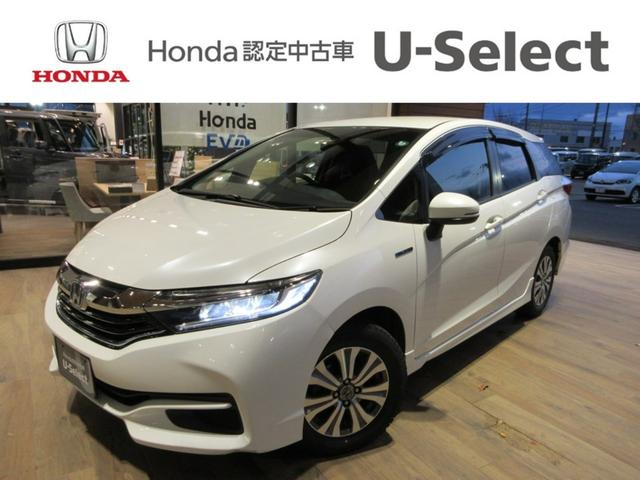 ۥ ȥ ϥ֥åɣءﳲڸ֥졼£бʥӡХå